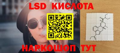 прущие грибы Краснокаменск