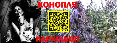 прущие грибы Краснокаменск