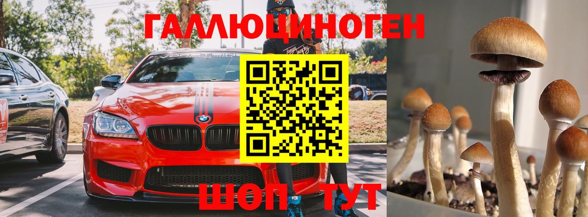 Егорьевск  Псилоцибиновые грибы мицелий  Вход с VPN 