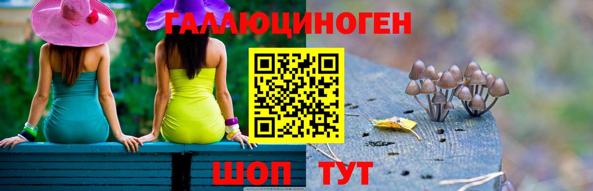 Галлюциногенные грибы прущие грибы Егорьевск